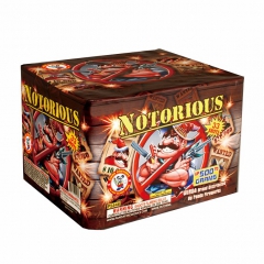 25's Notorious